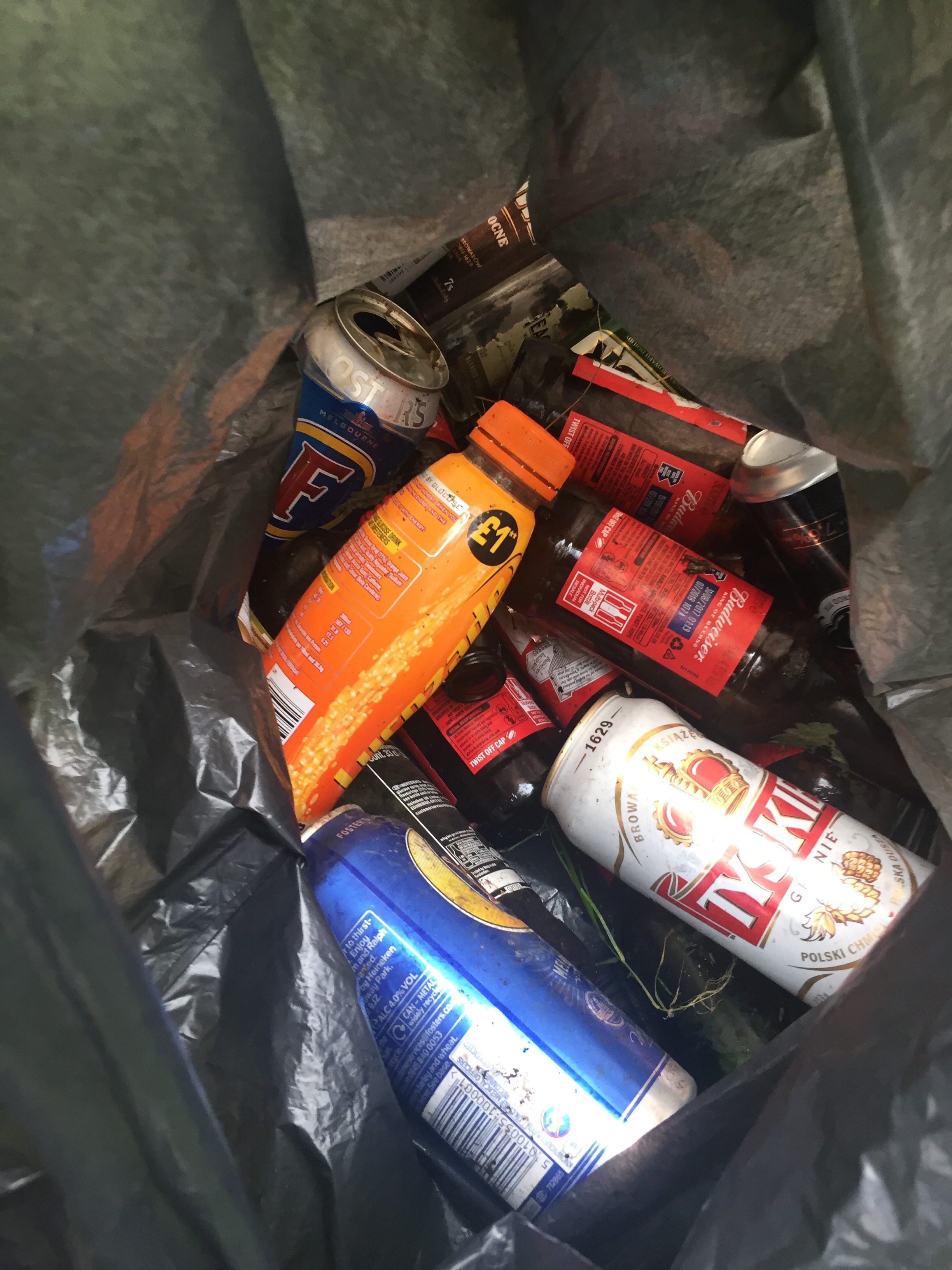 One hour's worth of litter