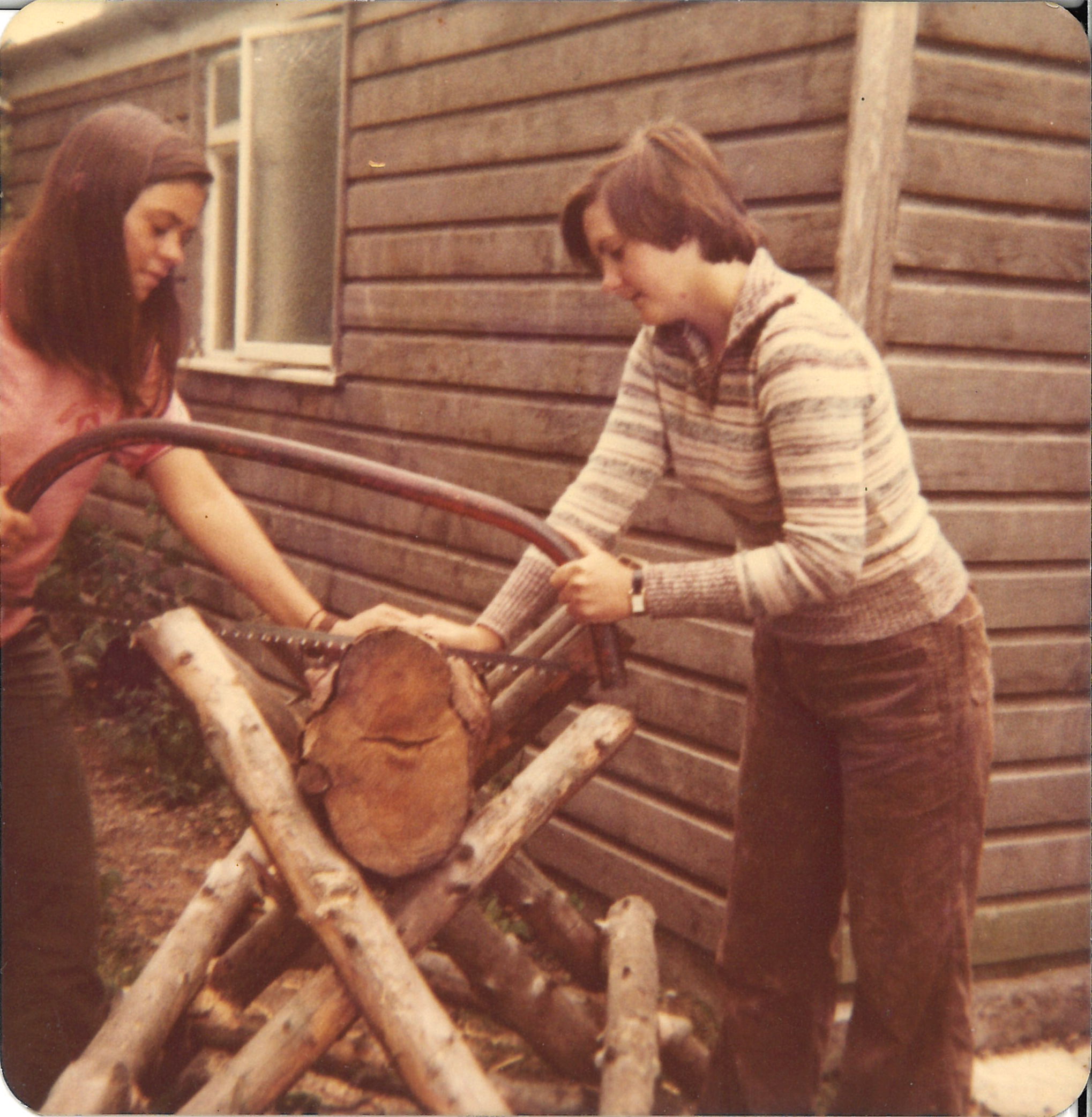 Getting firewood in Wales