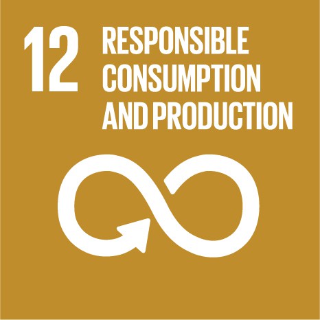 SDG: Responsible Consumption and Production